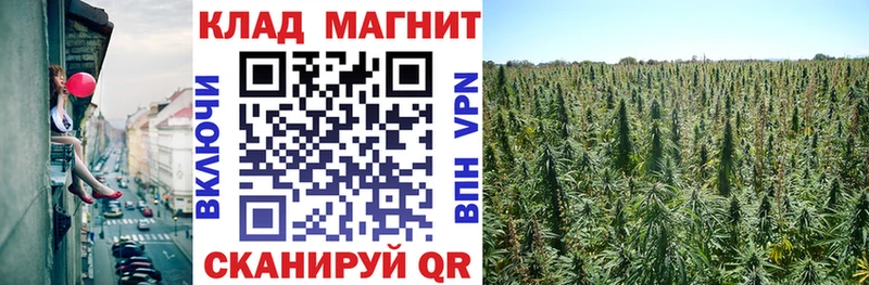  COCAIN Балаково