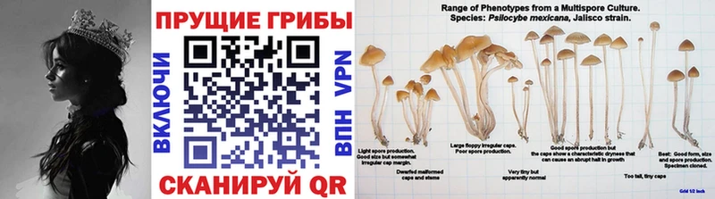 Галлюциногенные грибы мухоморы  Балаково 